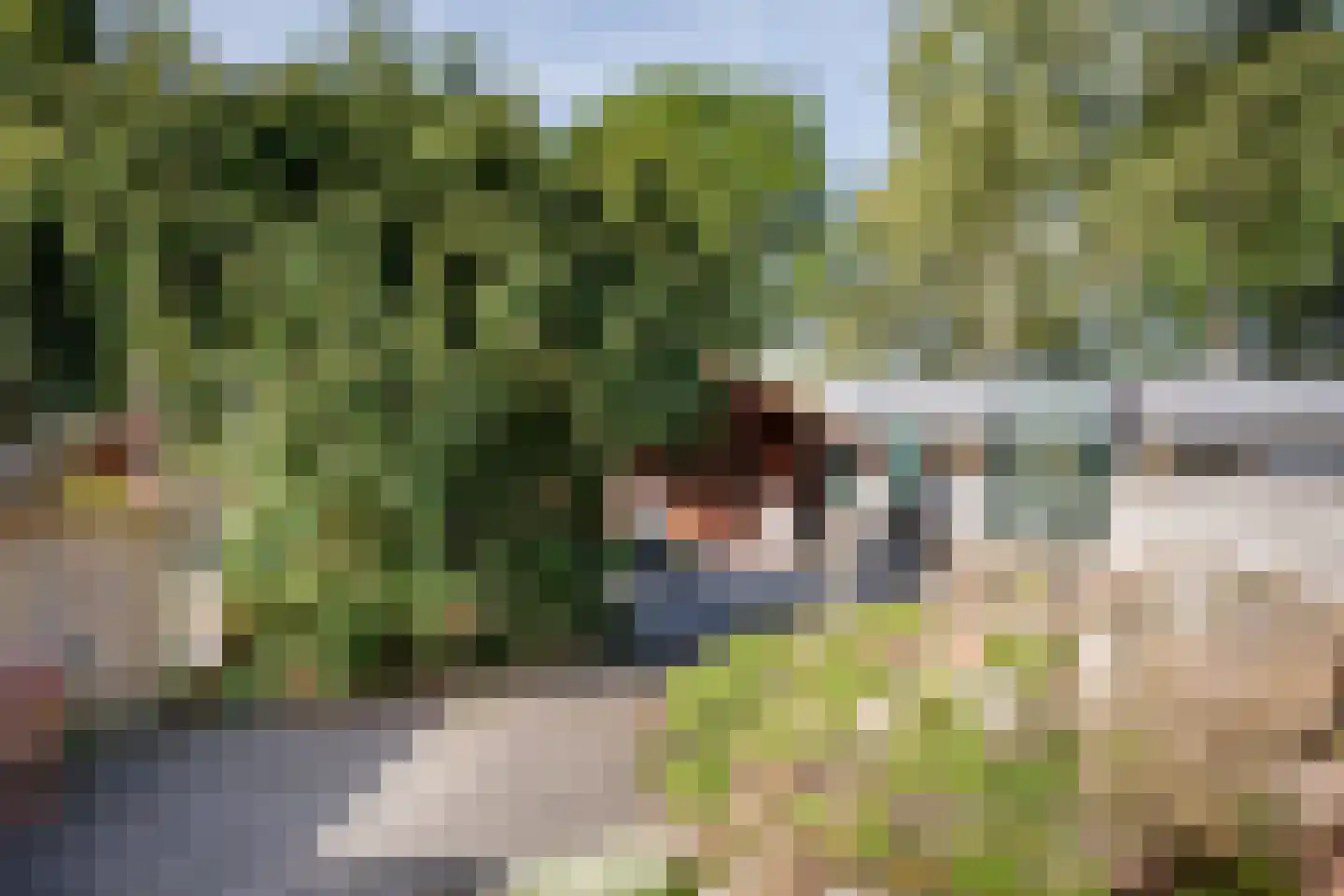 Laan van de Marel 445 Emmen thumbnail 31