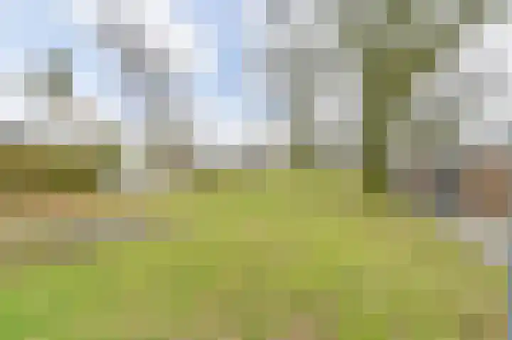 Laan van de Marel 483 Emmen thumbnail 63