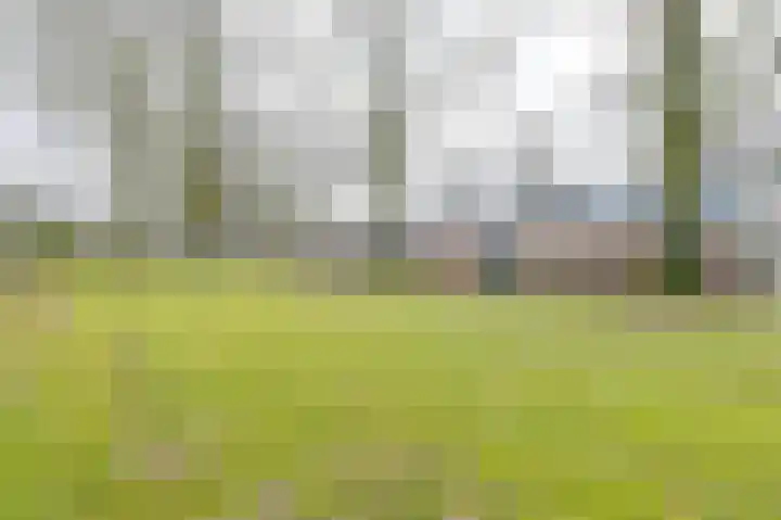 Laan van de Marel 483 Emmen thumbnail 64