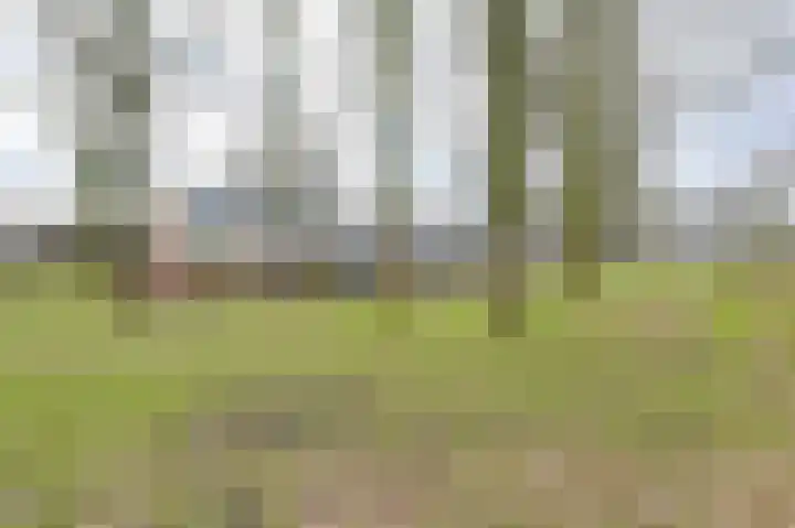 Laan van de Marel 483 Emmen thumbnail 65