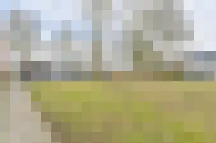 Laan van de Marel 483 Emmen thumbnail 75