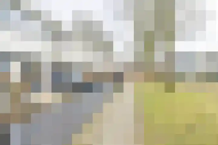 Laan van de Marel 483 Emmen thumbnail 76