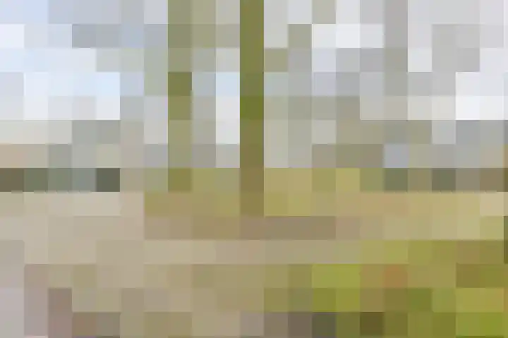 Laan van de Marel 483 Emmen thumbnail 80