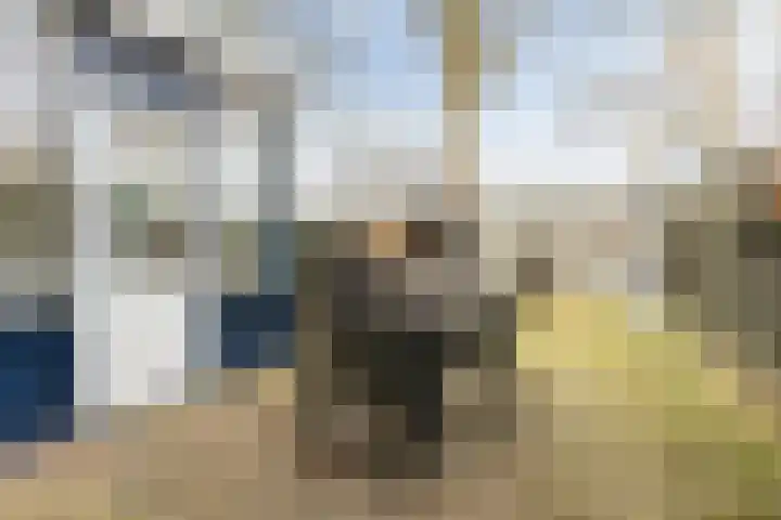 Laan van de Marel 485 Emmen thumbnail 30