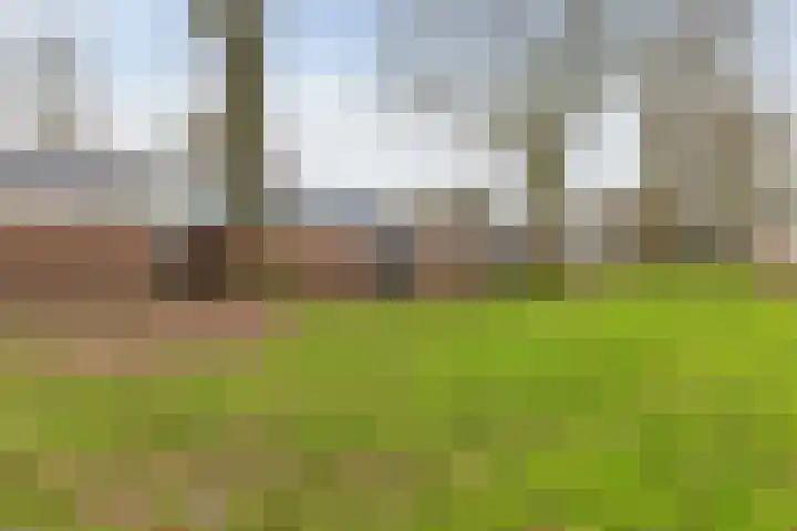 Laan van de Marel 485 Emmen thumbnail 35