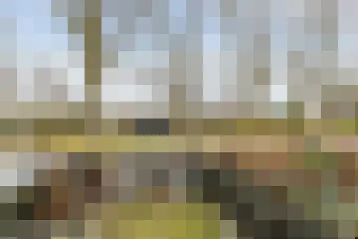 Laan van de Marel 485 Emmen thumbnail 36