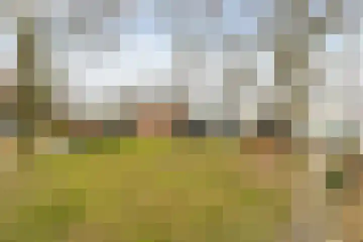 Laan van de Marel 485 Emmen thumbnail 39