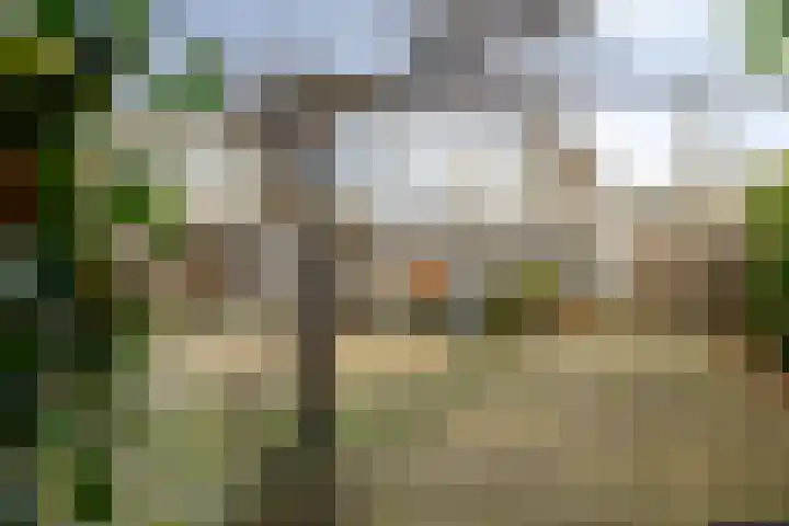 Laan van de Marel 495 Emmen thumbnail 33