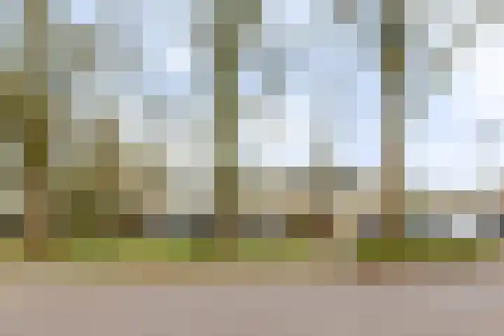 Laan van de Marel 495 Emmen thumbnail 36