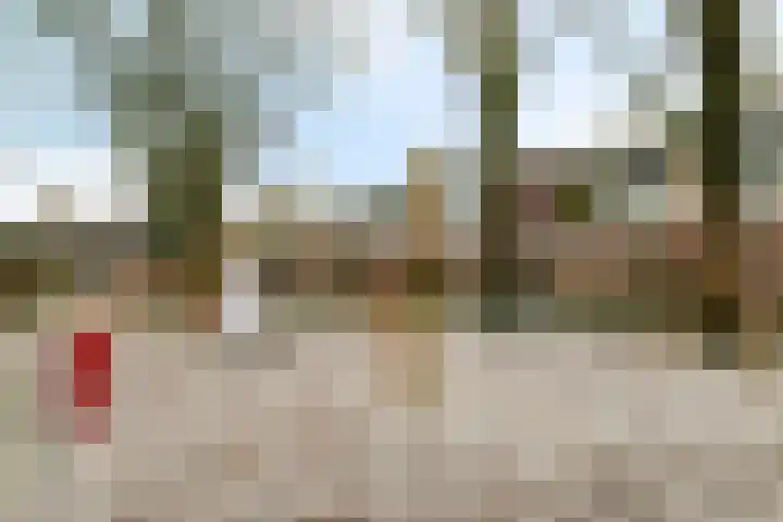 Laan van de Marel 495 Emmen thumbnail 39
