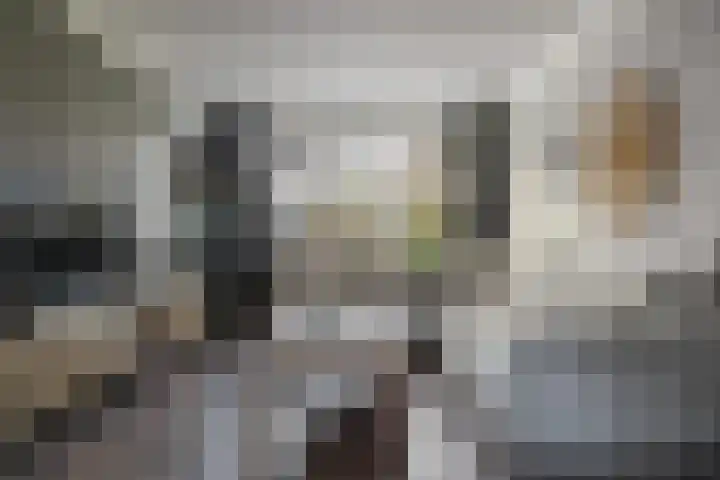 Laan van de Marel 495 Emmen thumbnail 4