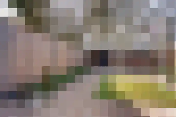 Laan van de Marel 496 Emmen thumbnail 34