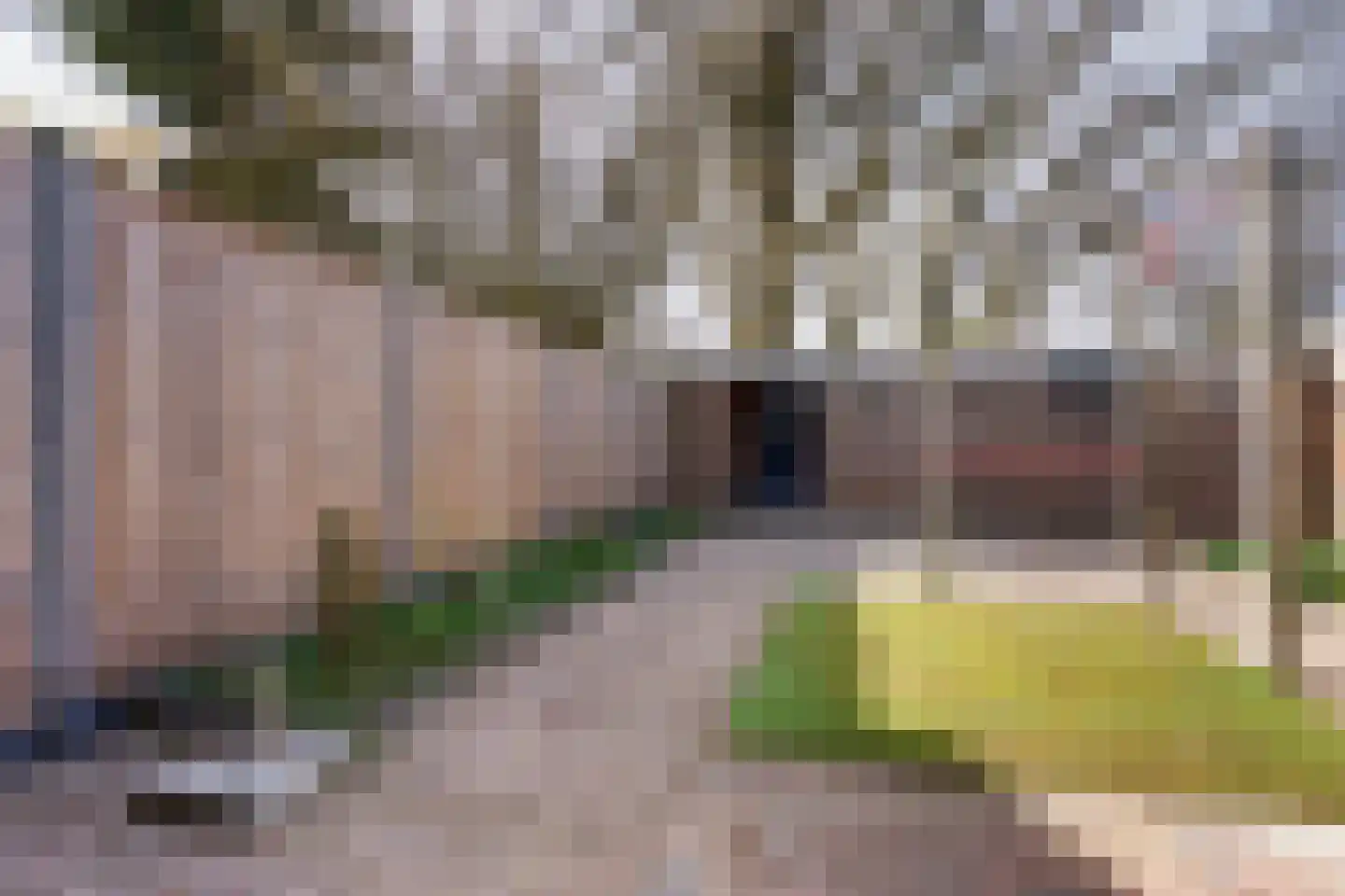Laan van de Marel 496 Emmen thumbnail 34