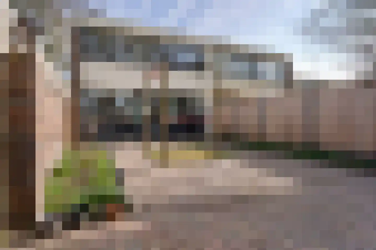 Laan van de Marel 496 Emmen thumbnail 35