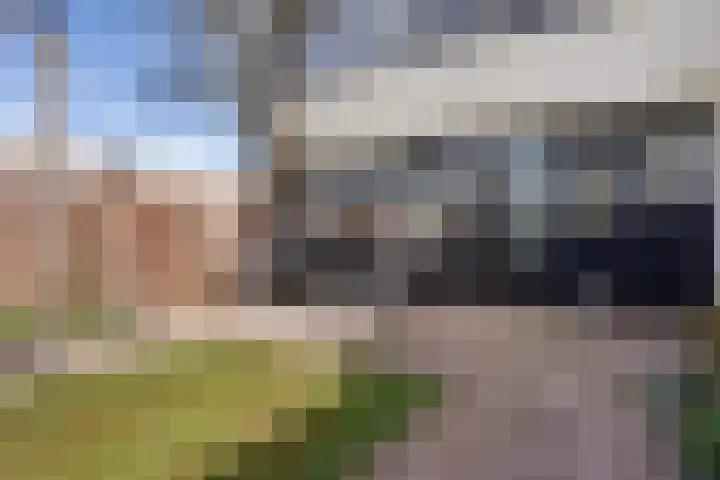 Laan van de Marel 496 Emmen thumbnail 36