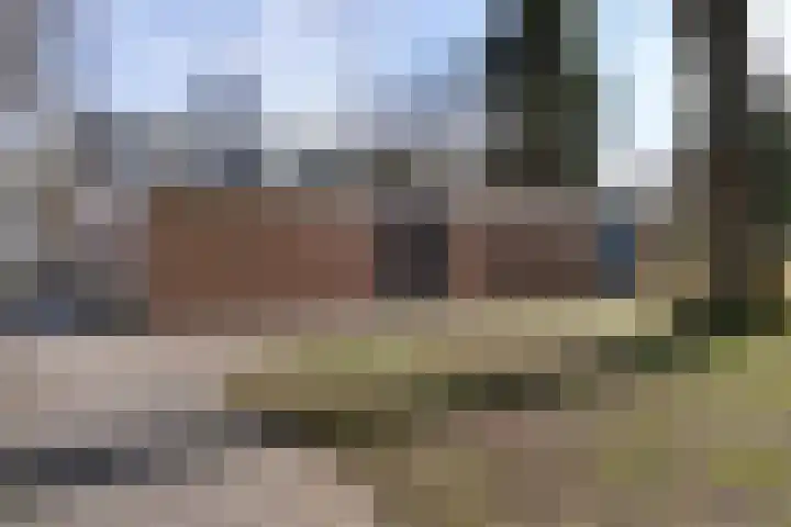 Laan van de Marel 496 Emmen thumbnail 38