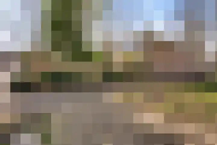 Laan van de Marel 496 Emmen thumbnail 39