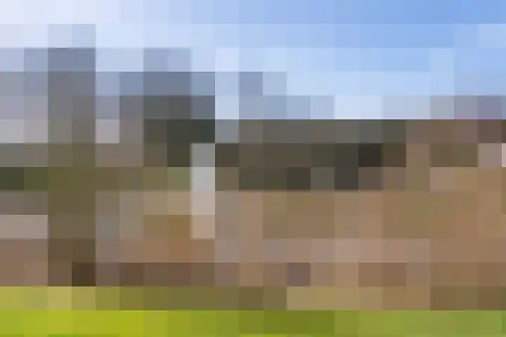 Laan van de Marel 496 Emmen thumbnail 4