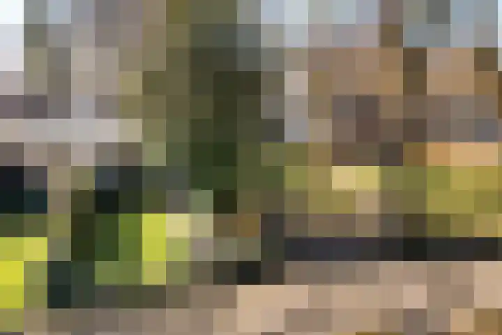 Laan van de Marel 496 Emmen thumbnail 41
