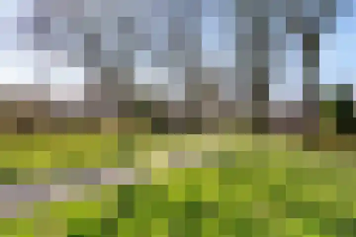 Laan van de Marel 496 Emmen thumbnail 42