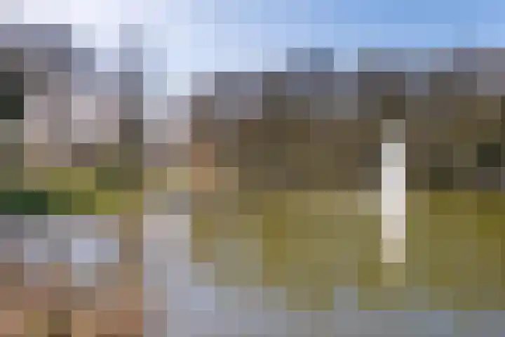 Laan van de Marel 496 Emmen thumbnail 43