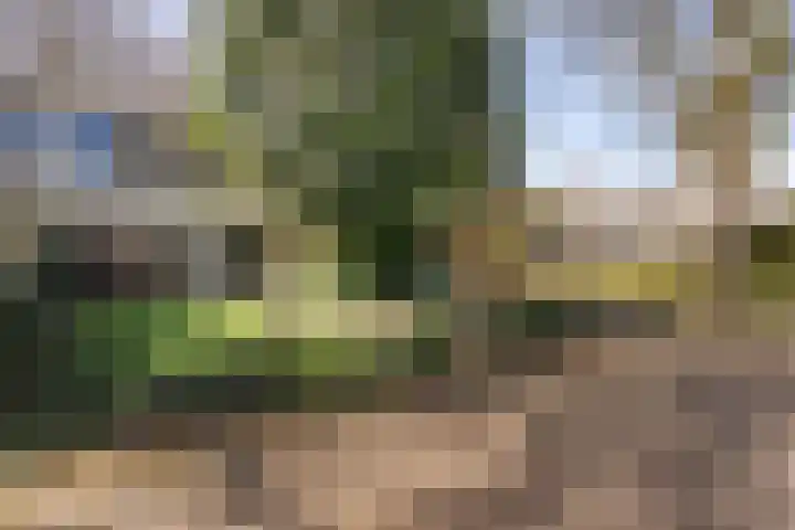Laan van de Marel 496 Emmen thumbnail 5