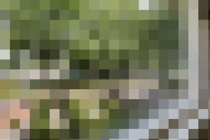 Laan van de Marel 507 Emmen thumbnail 25