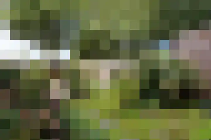 Laan van de Marel 507 Emmen thumbnail 26