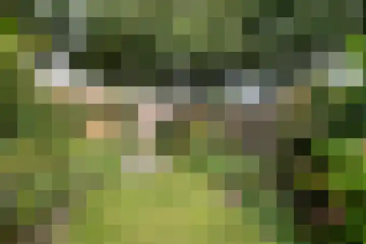 Laan van de Marel 507 Emmen thumbnail 27