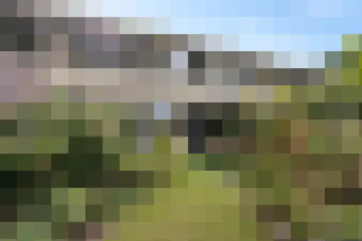 Laan van de Marel 507 Emmen thumbnail 28