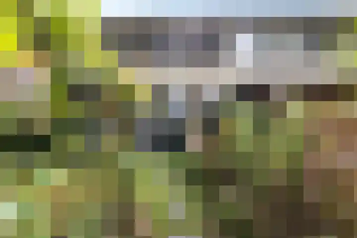 Laan van de Marel 507 Emmen thumbnail 30