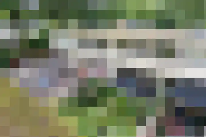 Laan van de Marel 507 Emmen thumbnail 31