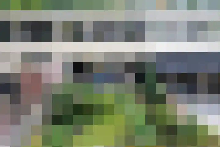 Laan van de Marel 507 Emmen thumbnail 32