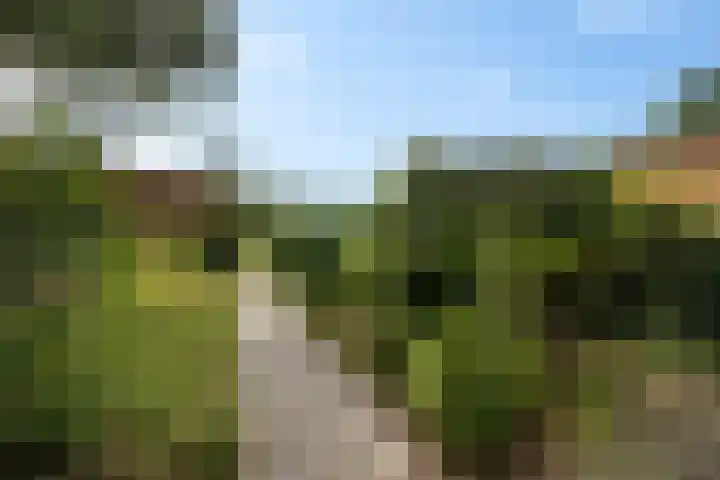 Laan van de Marel 507 Emmen thumbnail 33