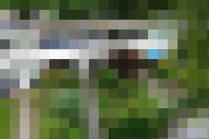Laan van de Marel 507 Emmen thumbnail 35