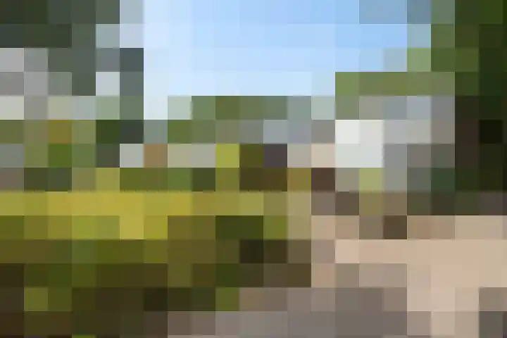 Laan van de Marel 507 Emmen thumbnail 36
