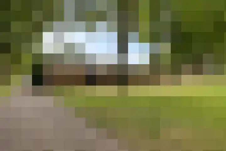 Laan van de Marel 507 Emmen thumbnail 37