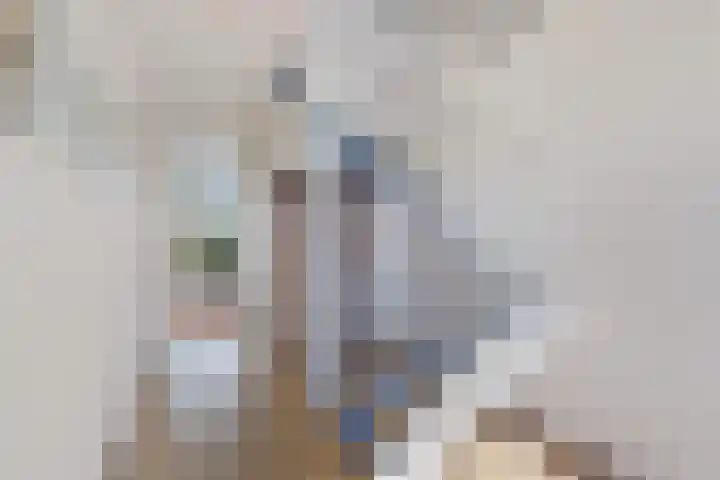 Laan van de Marel 507 Emmen thumbnail 4