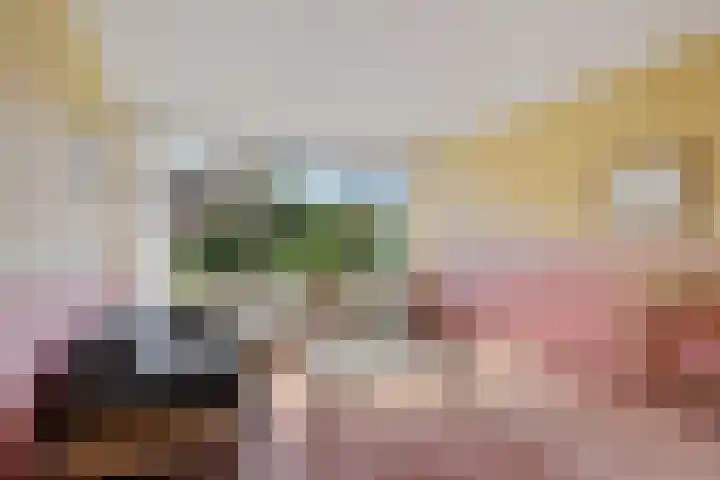 Laan van de Marel 507 Emmen thumbnail 6