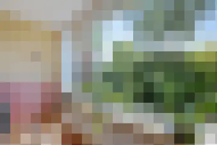 Laan van de Marel 507 Emmen thumbnail 8