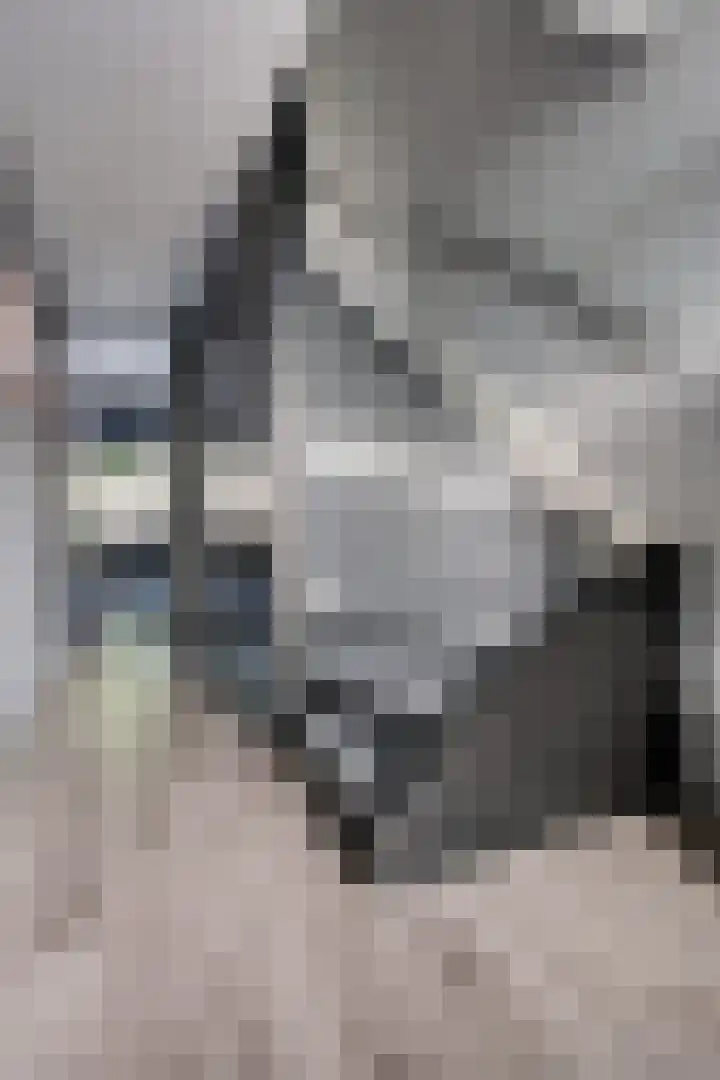 Laan van de Marel 520 Emmen thumbnail 12
