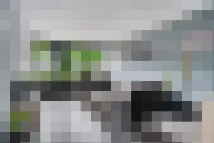 Laan van de Marel 520 Emmen thumbnail 13