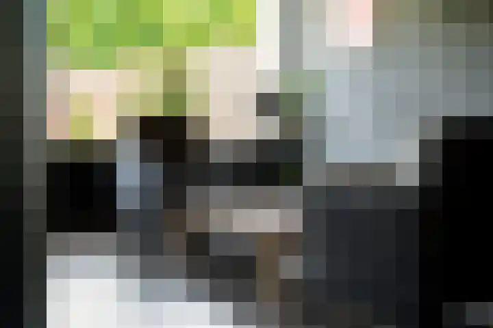 Laan van de Marel 520 Emmen thumbnail 14