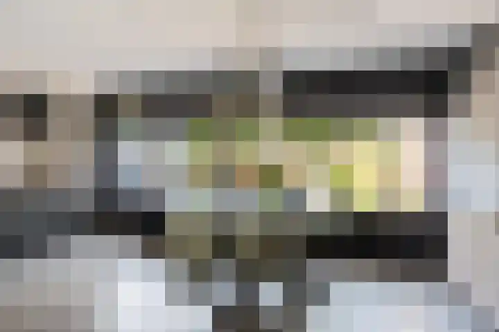 Laan van de Marel 520 Emmen thumbnail 16