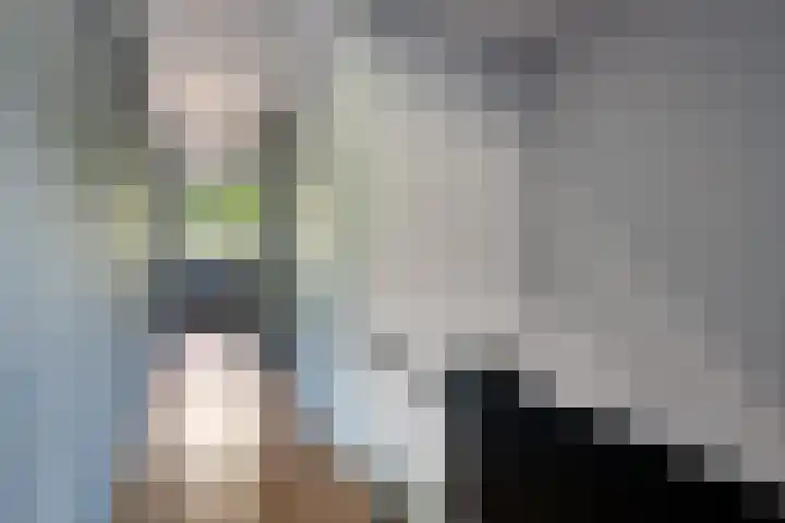Laan van de Marel 520 Emmen thumbnail 21