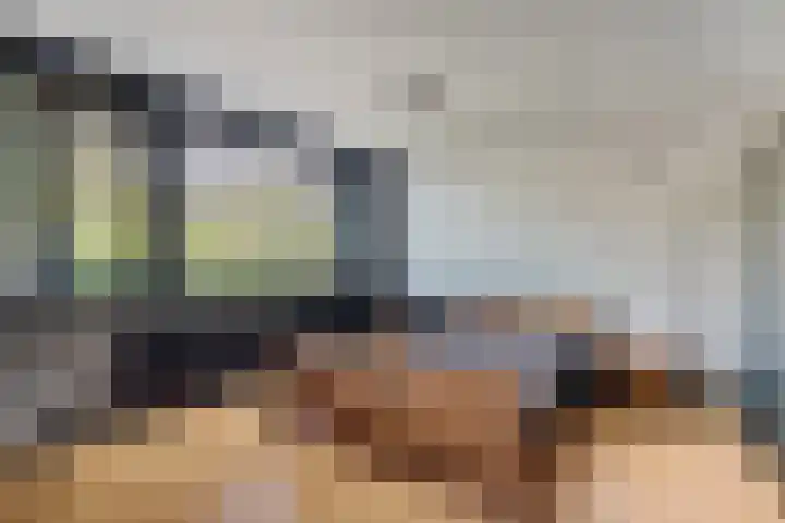 Laan van de Marel 520 Emmen thumbnail 22