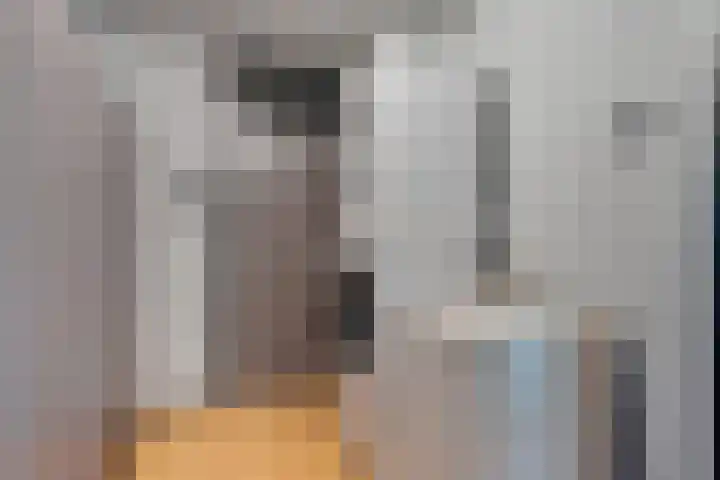 Laan van de Marel 520 Emmen thumbnail 29