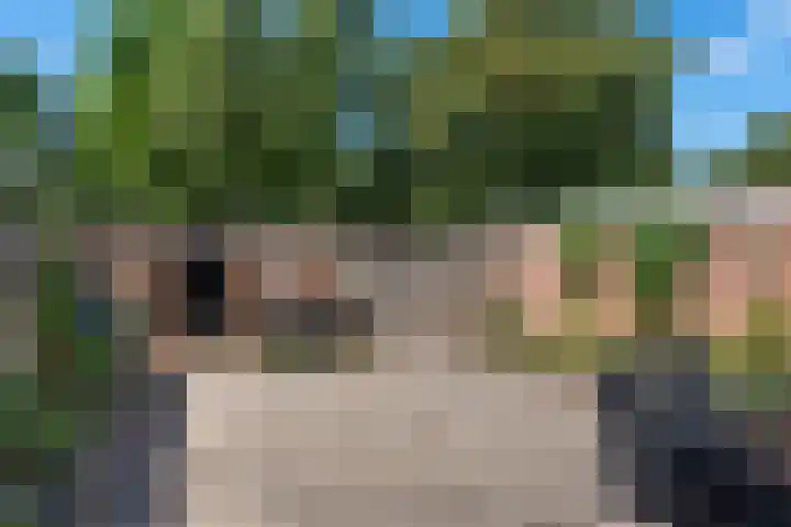 Laan van de Marel 520 Emmen thumbnail 34
