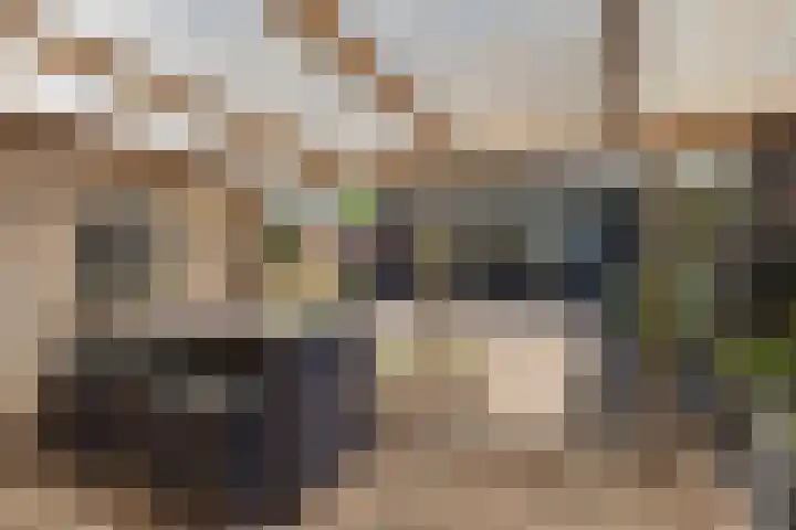 Laan van de Marel 520 Emmen thumbnail 37