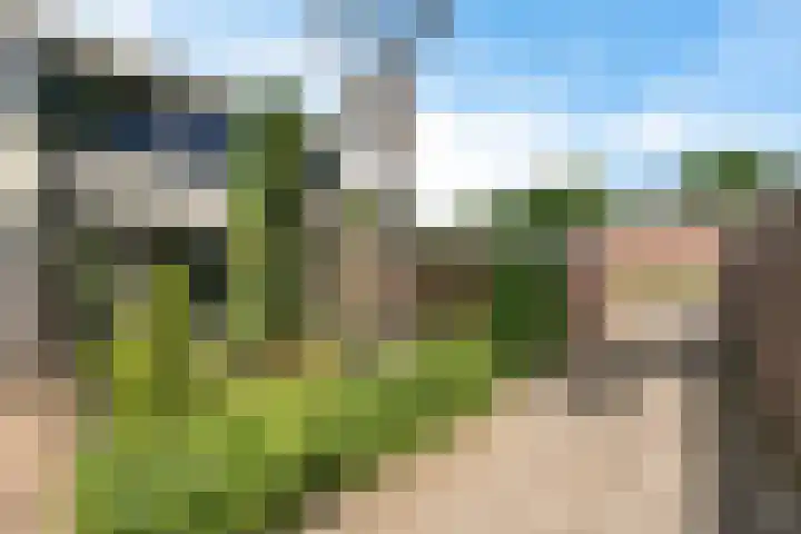 Laan van de Marel 520 Emmen thumbnail 4
